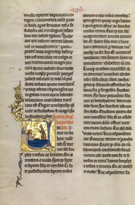 Initial V - Job Derided by His Wife by Unbekannt Unbekannt